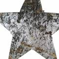 Floristik24 Estrella de coco plata 5cm 50 piezas decoración de mesa plata decoración de Adviento estrellas