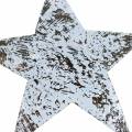 Floristik24 Coconut Star White lavado 10cm 20pcs