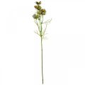 Floristik24 Cesta de joyería Cosmea flores de verano artificiales verdes 61cm