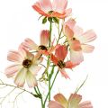 Floristik24 Cesta de joyería Cosmea Flores artificiales de melocotón flores de verano 61cm