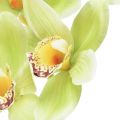 Floristik24 Orquídea Cymbidium artificial 5 flores verde 65cm
