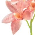 Floristik24 Orquídea Cymbidium artificial 5 flores melocotón 65cm