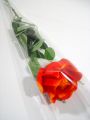 Floristik24 Bolsa de flores para 1 rosa &quot;Blank&quot; L65cm W14cm - 3cm 50p