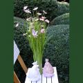Floristik24 Ramo de hierba con flores y mariposas rosa 70cm