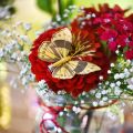 Floristik24 Mariposa de primavera con clip decoración de primavera dorada 6cm 10pcs en un conjunto