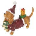 Floristik24 Figura decorativa de perro salchicha con paquete de regalo y sombrero, 18 cm.