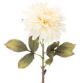 Floristik24 Flor de dalia artificial para jarrón de 68 cm.
