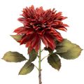 Floristik24 Flor de dalia artificial con tallo largo, 68 cm.
