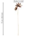 Flor de dalia artificial, de tallo largo con dos flores, 75 cm. | Floristik24.es