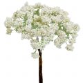 Floristik24 Rama de baya decorativa blanca 24cm 5pcs