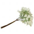 Floristik24 Rama de baya decorativa blanca 24cm 5pcs