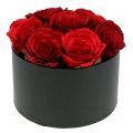 Floristik24 Jardinera caja rosa negra redonda Ø18cm - Ø20cm 2pcs