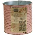 Floristik24 Lata decorativa lata de metal rosa viejo para plantar Ø11cm H10.5cm
