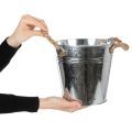 Maceta decorativa de metal con asas de cuerda, Ø20cm | Floristik24.es