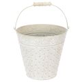 Floristik24 Cubo decorativo, blanqueado, con asa, Ø20,5 cm, maceta decorativa de metal.