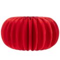 Papel decorativo de calabaza
