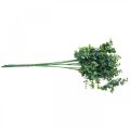 Floristik24 Rama decorativa de eucalipto, verde oscuro, eucalipto artificial, plantas verdes artificiales, 6 uds.