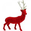 Floristik24 Ciervo decorativo figura decorativa reno decorativo flocado rojo H40cm