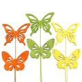 Floristik24 Mariposa decorativa de madera de colores surtidos. 8cm 18pcs