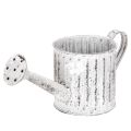 Floristik24 Regadera decorativa, maceta, regadera para plantar Ø10,5 cm