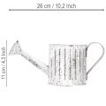 Regadera decorativa, maceta, regadera para plantar Ø10,5 cm | Floristik24.es