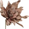 Floristik24 Deco flor de loto flor de loto artificial flor artificial marrón L68cm