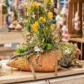 Floristik24 Zanahoria decorativa, decoración de hormigón para plantar, Pascua, maceta de zanahoria, decoración de primavera L28cm