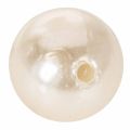 Cuentas decorativas Ø2cm champagne 12 piezas | Floristik24.es