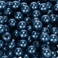 Cuentas decorativas de Ø8 mm, color azul, 250 unidades | Floristik24.es