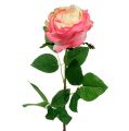 Floristik24 Deco rosa rosa Ø10cm 52cm 3pcs