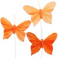 Floristik24 Deco mariposa naranja 12 piezas