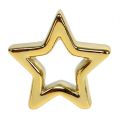 Floristik24 Deco Star Gold 6,5cm 6pcs