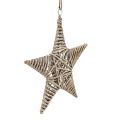 Floristik24 Estrella decorativa para colgar 25cm de vid 1pc