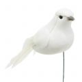 Floristik24 Deco palomas en el alambre blanco 9cm 6pcs