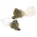 Floristik24 Deco par de palomas Deco pájaros con clip Dorado L5cm 4ud
