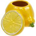 Floristik24 Maceta decorativa jarrón limón cítricos cerámica decoración de verano