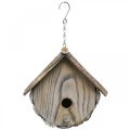 Casa de pájaros decorativa Caja nido decorativa de madera con corteza natural Blanco lavado H23cm W25cm