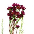 Floristik24 Deco rama con flores Erika 80cm 3pcs