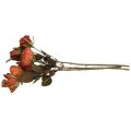 Floristik24 Deco ramo de rosas flores artificiales ramo de rosas naranja 45cm 3pcs