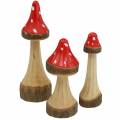 Floristik24 Toadstools decorativos de madera roja, natural 13.5cm - 19cm 3pcs