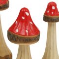 Floristik24 Toadstools decorativos de madera roja, natural 13.5cm - 19cm 3pcs