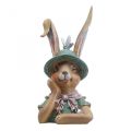 Deco conejo conejo busto decoración figura cabeza conejo 18cm