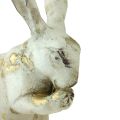 Floristik24 Conejos decorativos sentados de pie oro blanco Al.12,5x16,5cm 2ud