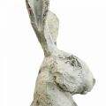 Floristik24 Conejo decorativo aspecto de piedra sentada decoración de jardín H30cm 2pcs