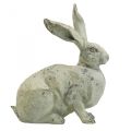 Floristik24 Conejo decorativo aspecto de piedra sentada decoración de jardín H30cm 2pcs