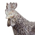 Floristik24 Deco pollos figura decorativa figura de jardín pollo vintage H17cm 2pcs