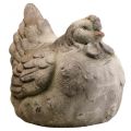 Floristik24 Deco pollo grande cerámica gris decoración primavera vintage 30cm
