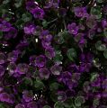 Floristik24 Bola decorativa violeta hecha de flores bola vegetal artificial Ø15cm 1ud