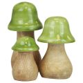 Floristik24 Setas decorativas madera Setas de madera verde claro brillante Al.6/8/10cm juego de 3