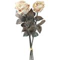 Floristik24 Rosas decorativas, color blanco crema, rosas artificiales, flores de seda, aspecto antiguo, 65 cm de largo, paquete de 3